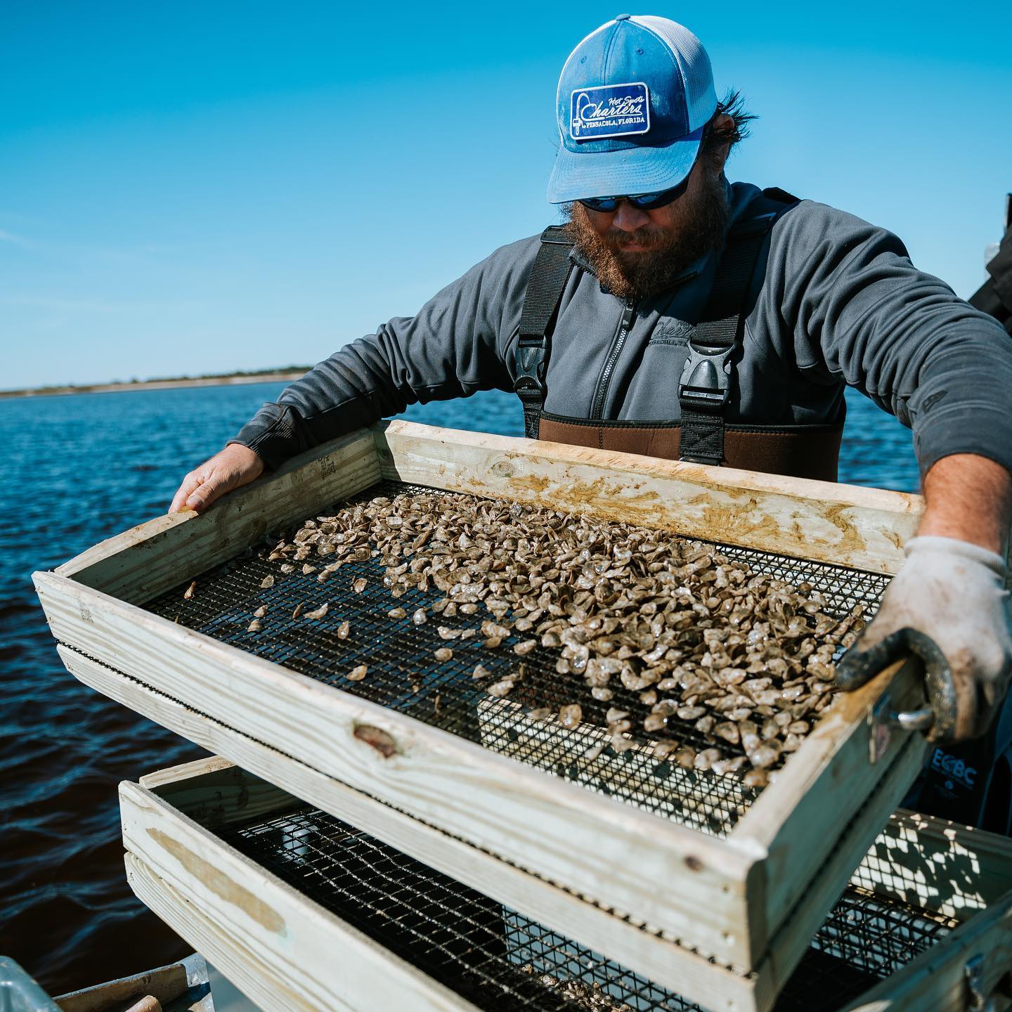 East Bay Oyster Company