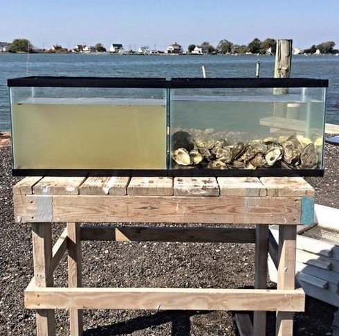 140633625_1542935712564152_1895998316253089506_n